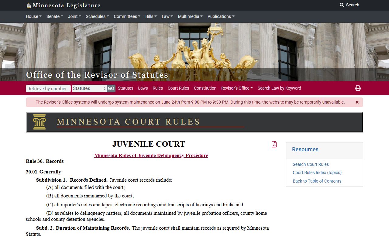 Morrison County court dockets juvenile delinquency access rule